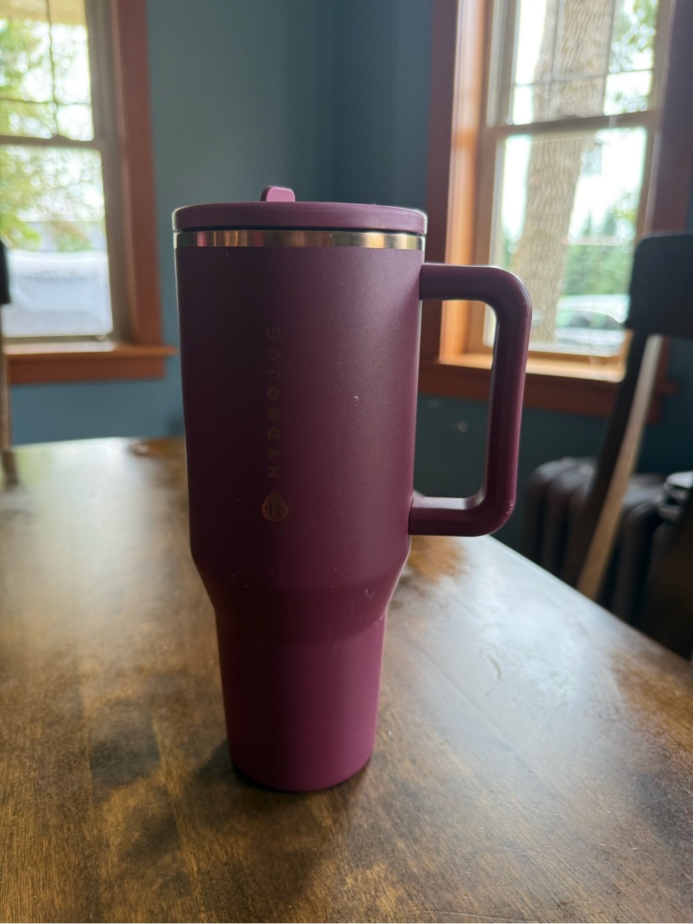 HydroJug Travel 32 oz. Insulated Tumbler with handle and straw